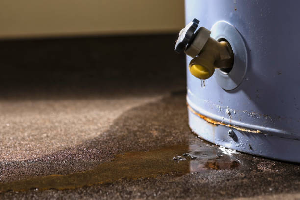 Best Residential water damage restoration  in Winnsboro Mills, SC