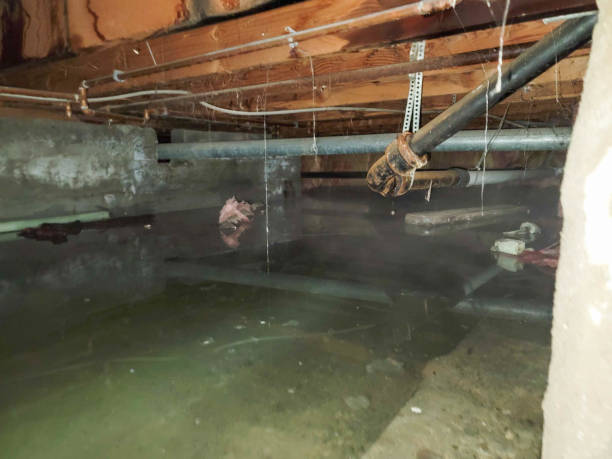 Best Water damage restoration experts  in Winnsboro Mills, SC