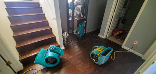 Best Water damage restoration company  in Winnsboro Mills, SC