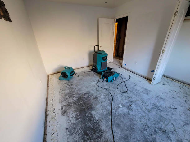 Best 24/7 water damage repair  in Winnsboro Mills, SC