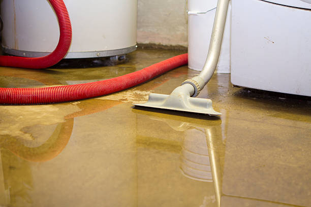 Best 24-hour water damage restoration  in Winnsboro Mills, SC